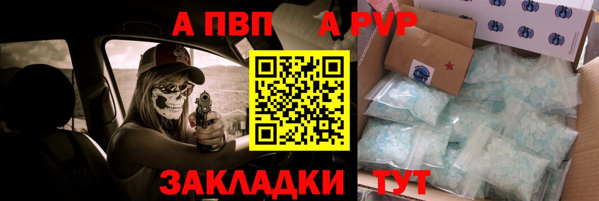 A PVP СК Шадринск