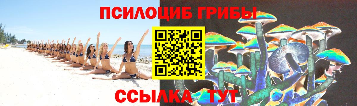 Галлюциногенные грибы GOLDEN TEACHER  Галлюциногенные грибы GOLDEN TEACHER  Шадринск  Вход с VPN 